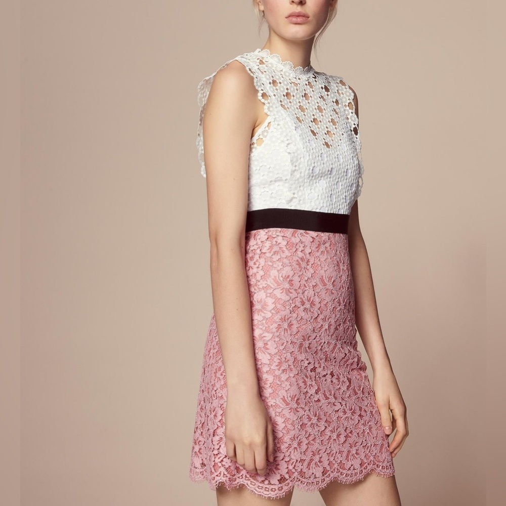 NWOT Sandro two-tone lace dress with high neck